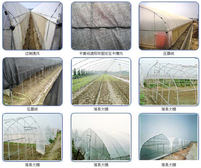 固定大棚薄膜，簡易大棚安裝完成