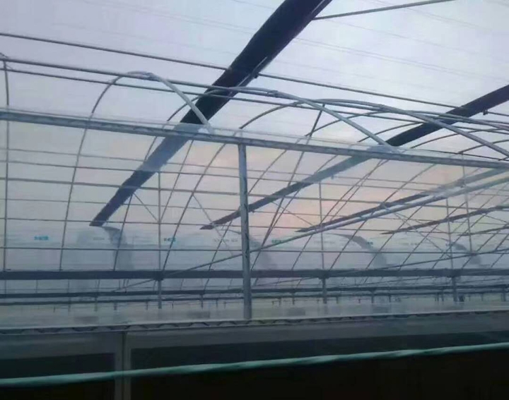 簡易連棟大棚圖片 簡易連棟大棚圖片