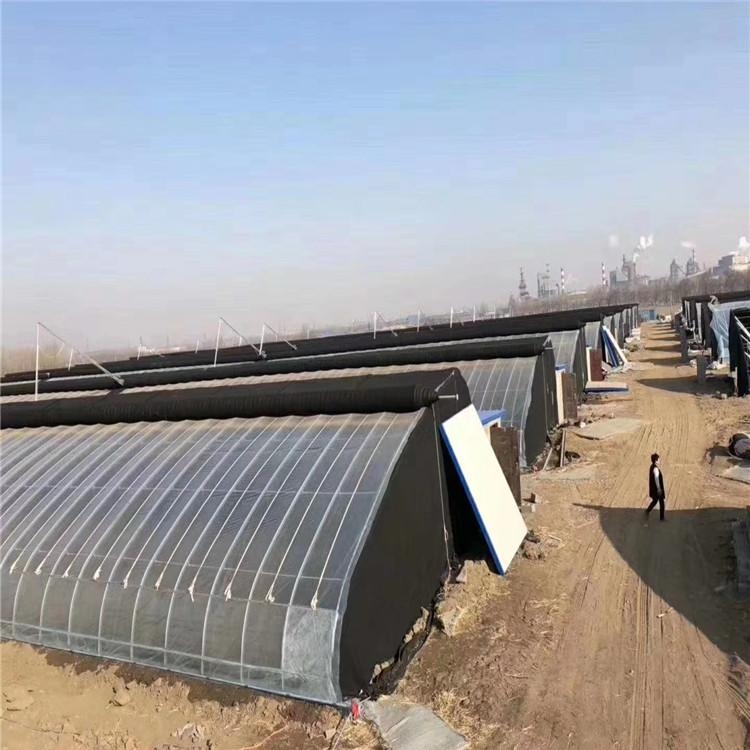 溫室大棚圖片 溫室大棚圖片
